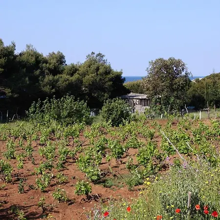 Apartman Blaca 4899e *