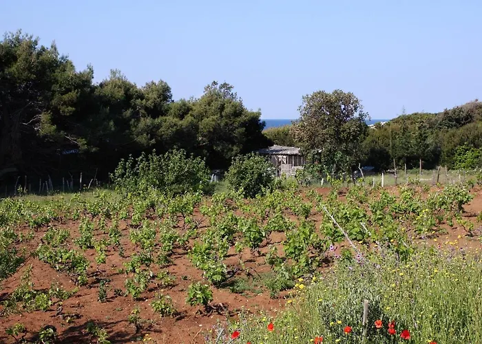 公寓 Blaca 4899e *